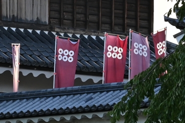 2019年9月(1) 2019年9月(1)